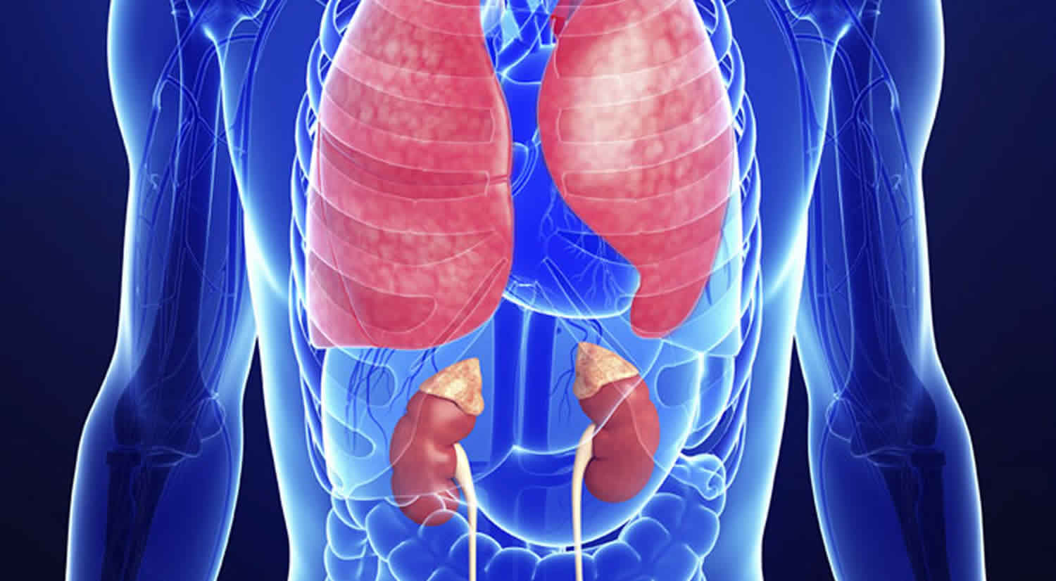 Anti GMB Longen en Nieren